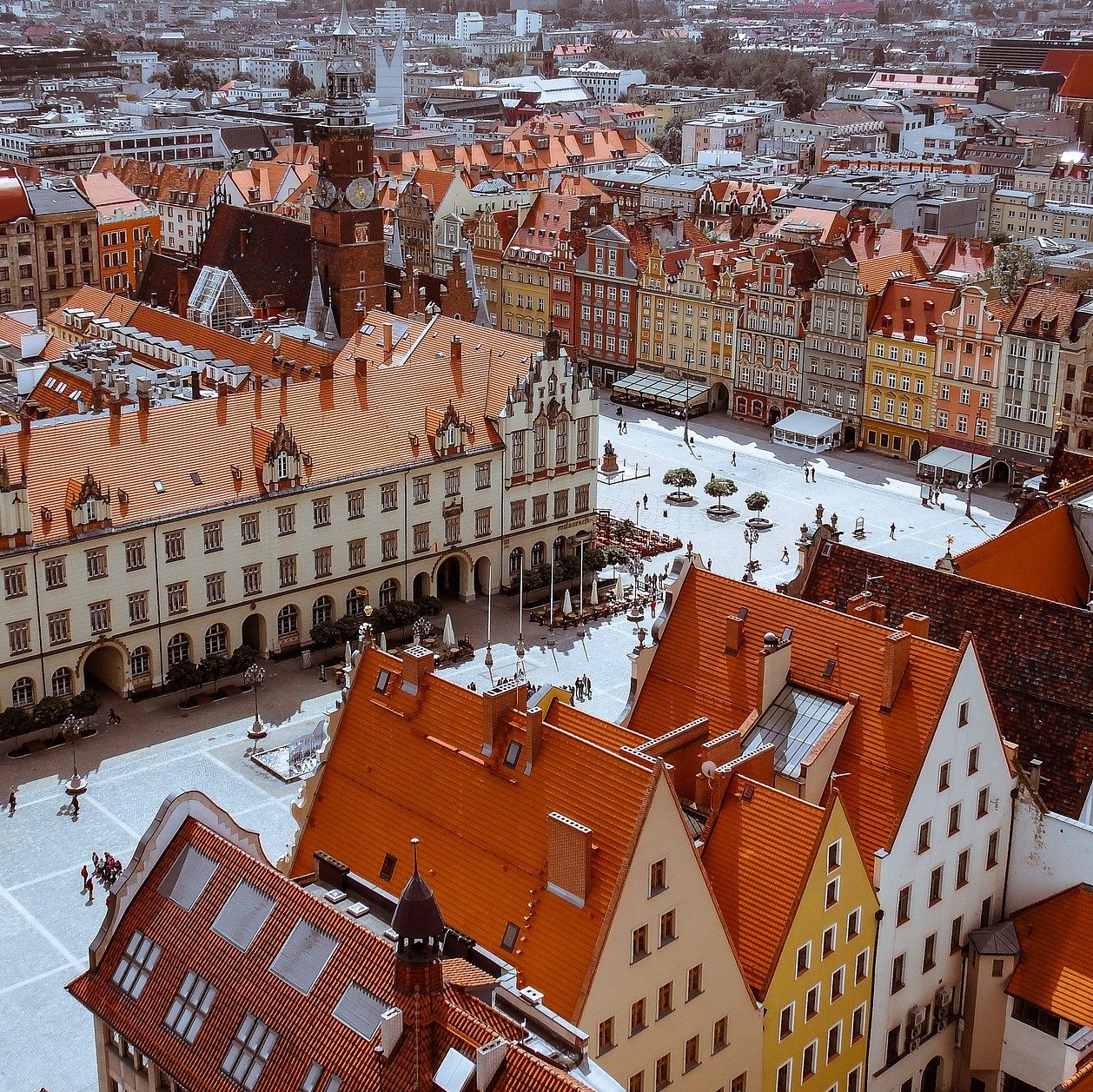 Poland is still gaining popularity as a study destination.